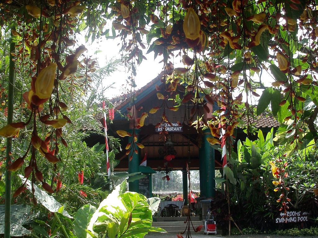 Margo Utomo Eco Resort Kalibaru Bagian luar foto